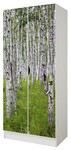 White two-door wardrobe - ROMA - Birch Trees